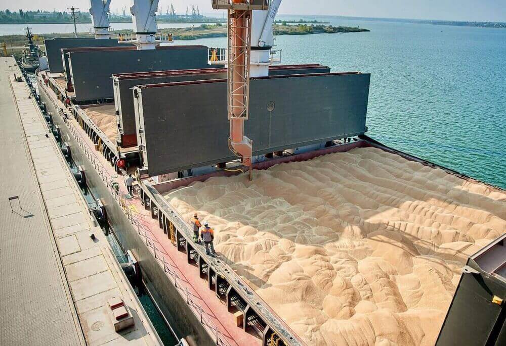 Türkmenistanyň Mary welaýatyna Russiýadan 6 müň tonna bugdaý tohumy getiriler