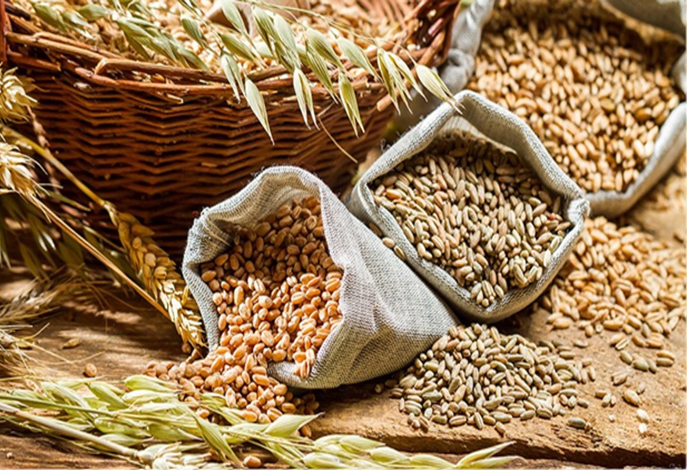 Gadymy ekin Künji barada