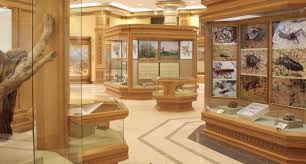 A JOURNEY INTO HISTORY