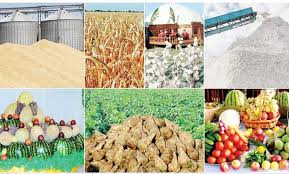 Important agricultural reforms, important tasks.